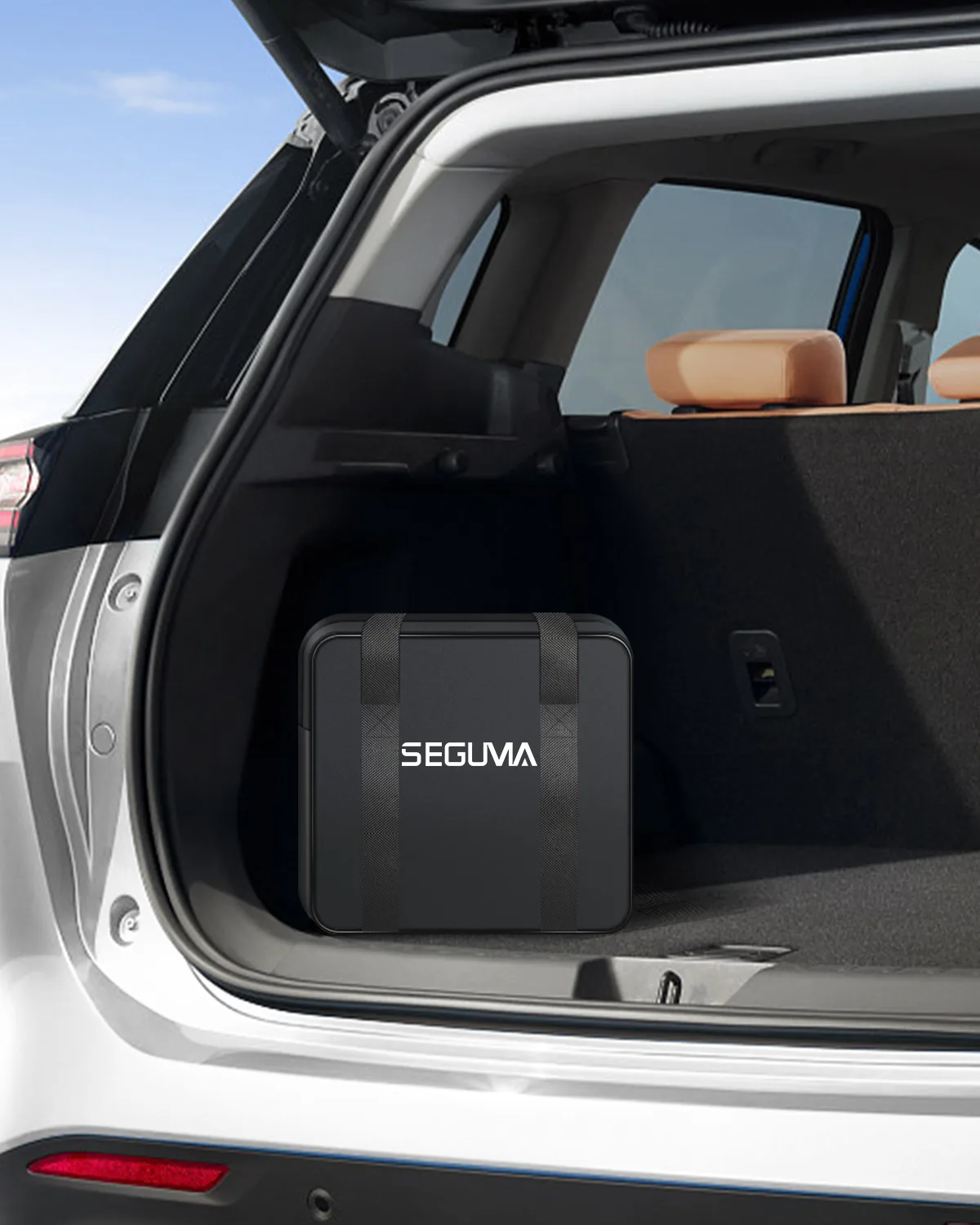 SEGUMA- 32A დამტენი Tesla-სთვის