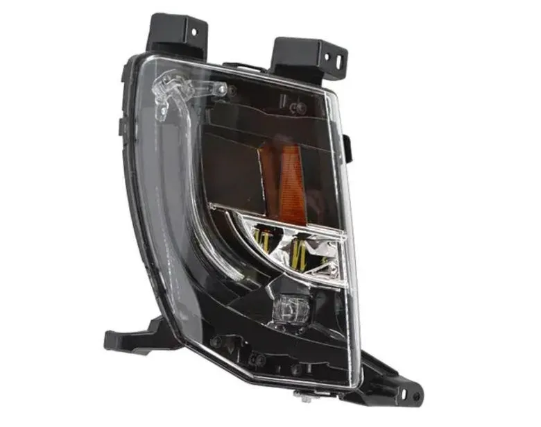 მარჯვენა, სანისლე ფარი