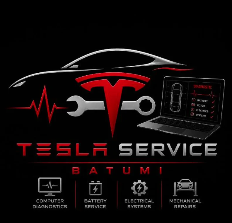 გიგას TESLA SERVICE