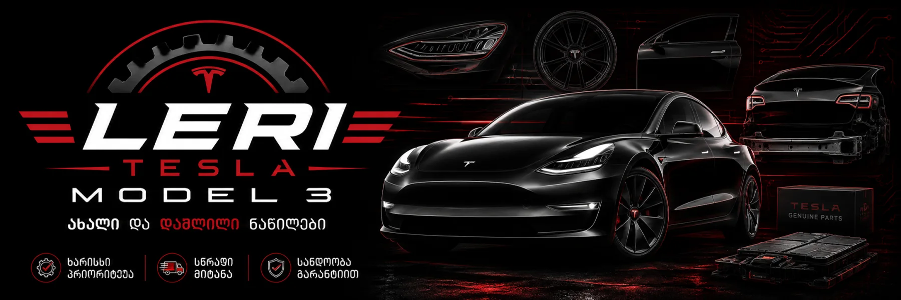 Leri  Tesla model 3 — დაშლილების ბაზა